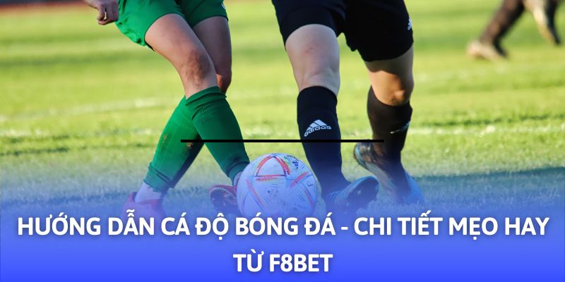 Hướng Dẫn Cá Độ Bóng Đá - 03+ Mẹo Hay Từ F8BET